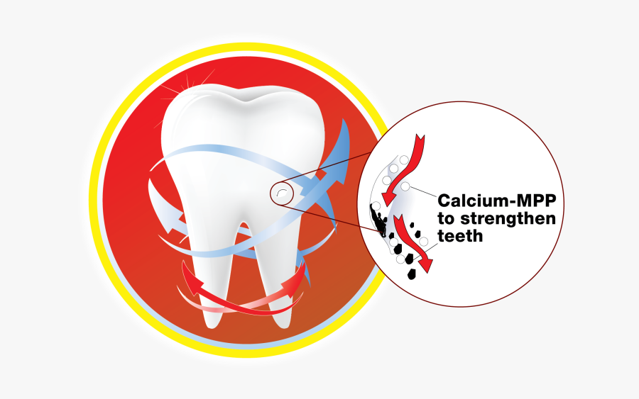 Sticks Clipart Miswak - Circle, Transparent Clipart