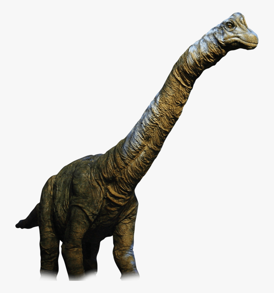 Transparent Dinosaur Head Clipart - Dinosaur Png, Transparent Clipart