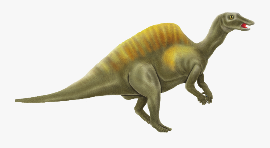 Dinosaur Pictures Printables Dinosaurs Cliparts - 恐龙, Transparent Clipart