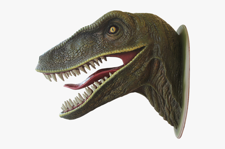 Velociraptor Transparent Head - Dinosaur With Mouth Open, Transparent Clipart