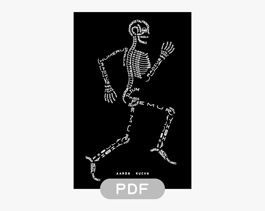 Skeleton Clipart Empty - Greys Anatomy Desktop Backgrounds, Transparent Clipart