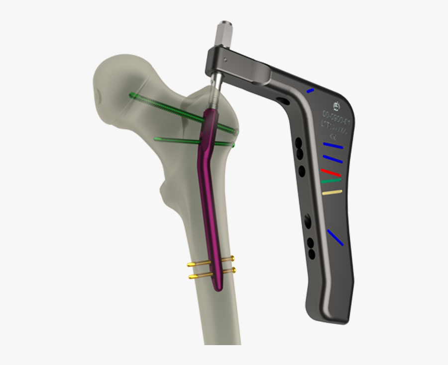 Transparent Femur Png - Bicycle Frame, Transparent Clipart