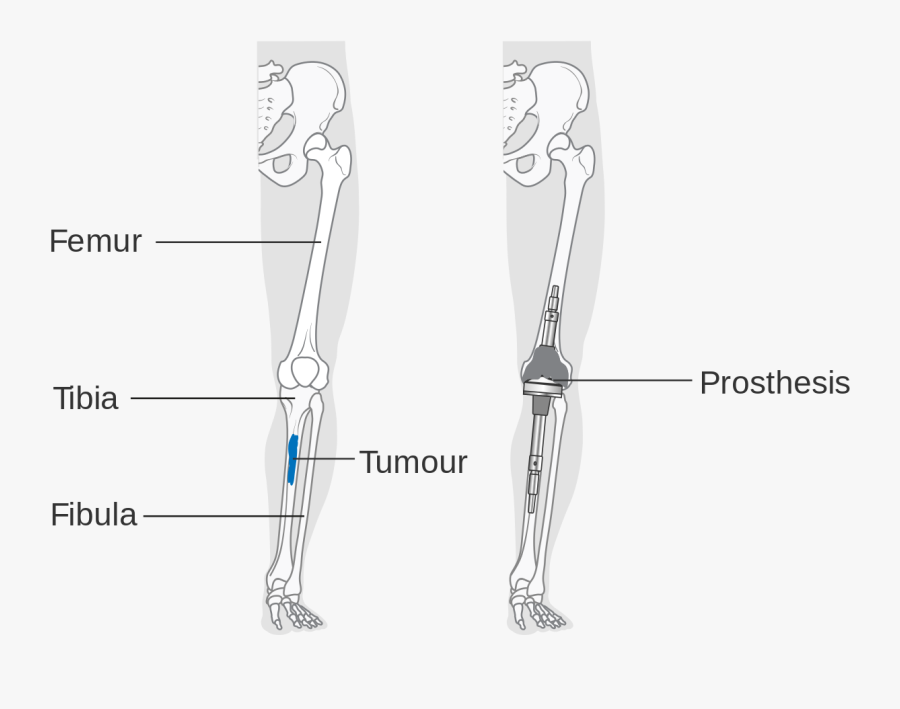 Diagram, Transparent Clipart