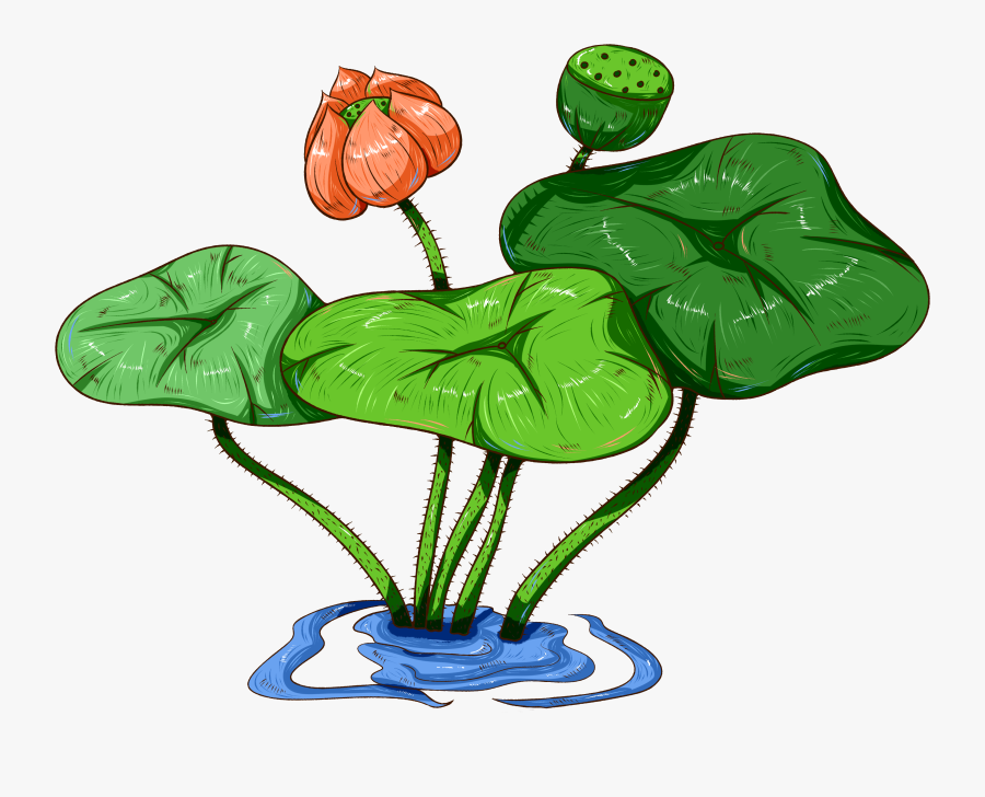 Original Commercial Hand Painted Aquatic Plants Png - Aquatic Plant Pngs, Transparent Clipart