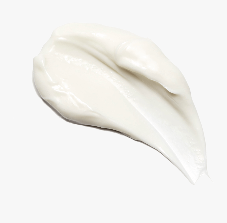 Shell, Transparent Clipart