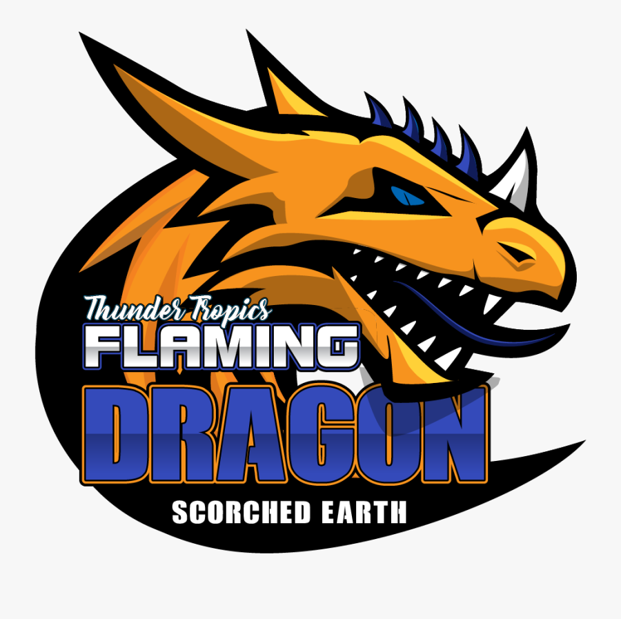 Graphic Design, Transparent Clipart