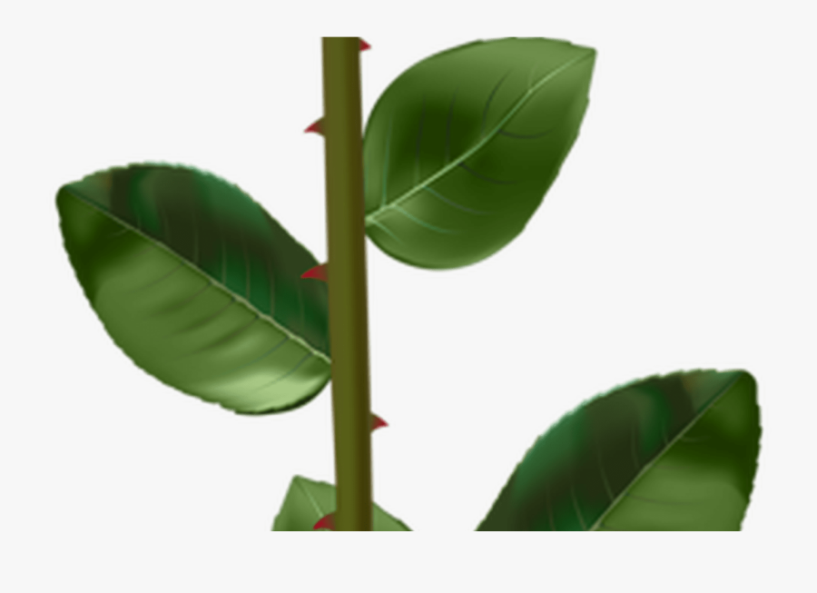 Transparent Gladiolus Clipart - Transparent Background Blue Rose Png, Transparent Clipart