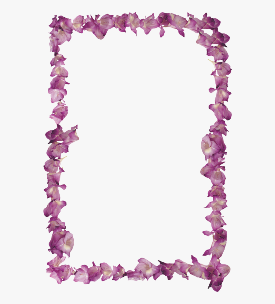 Transparent Gladiolus Png - Picture Frame, Transparent Clipart