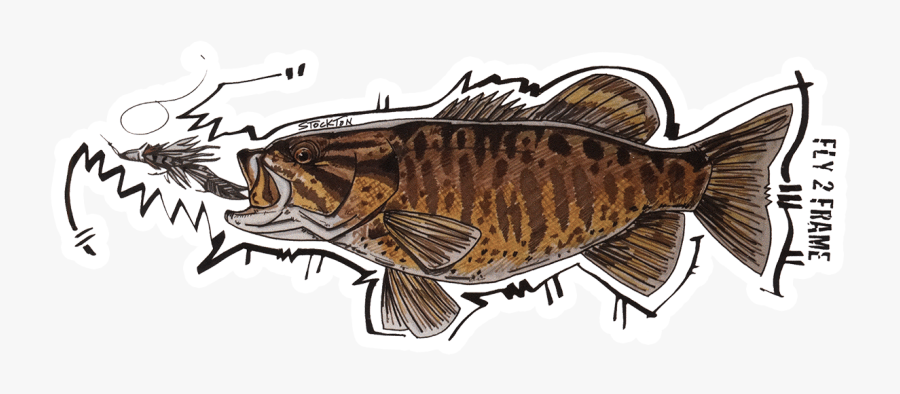 Smallmouth Bass Stickers, Transparent Clipart
