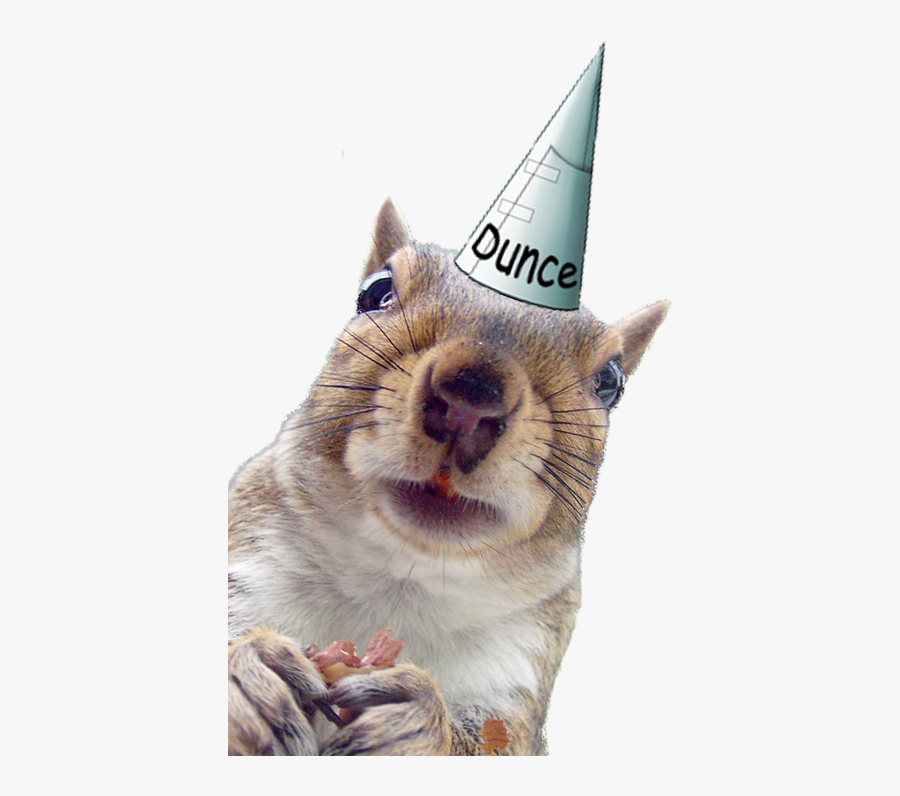 Dunce Cap , Png Download - Dunce Cap, Transparent Clipart