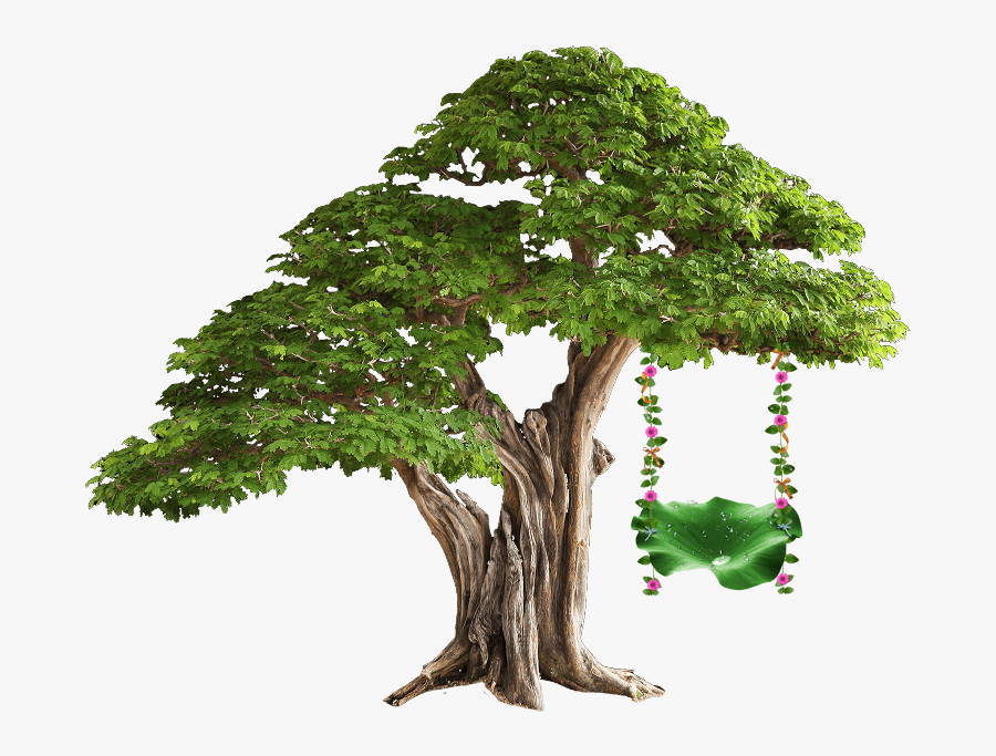 #tree #swing #treeswing - Bonsai Tree Transparent Background, Transparent Clipart