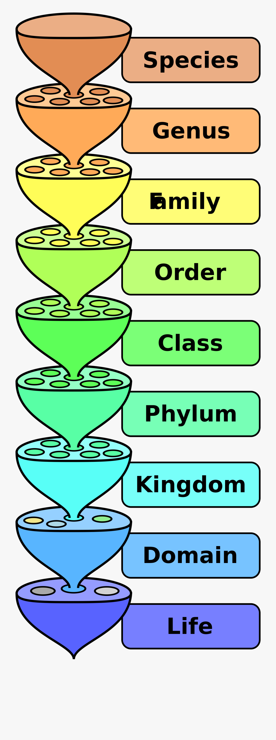 Clipart Definition Dictionary Thesaurus Classification In Science