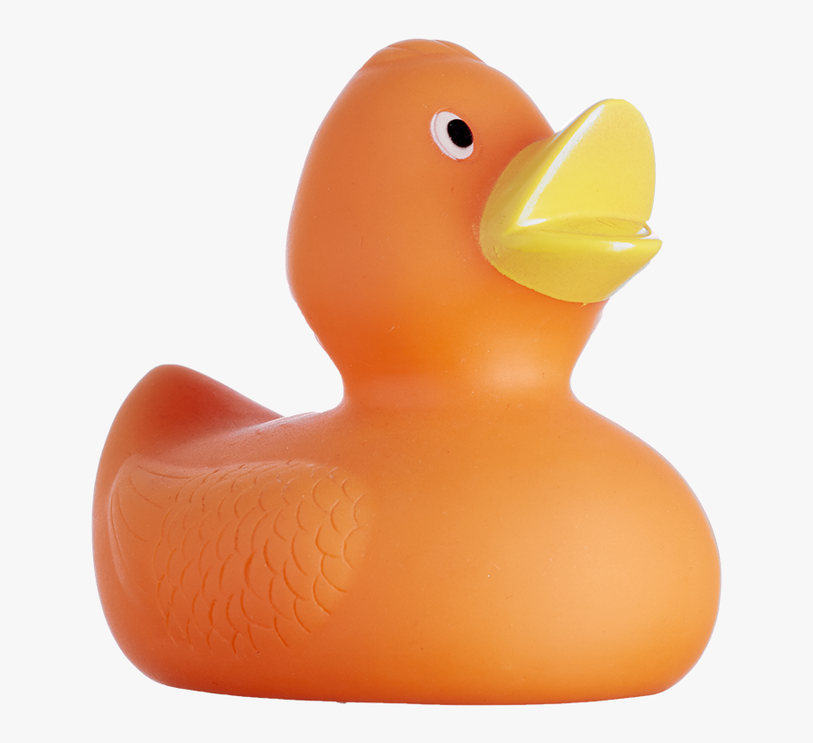 Kids - Duck, Transparent Clipart