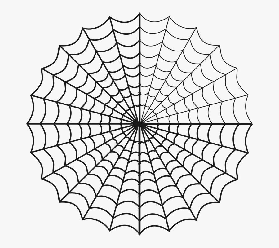 Drawn Spider Web Circle Clipart , Png Download - Spider Web Pattern Png, Transparent Clipart