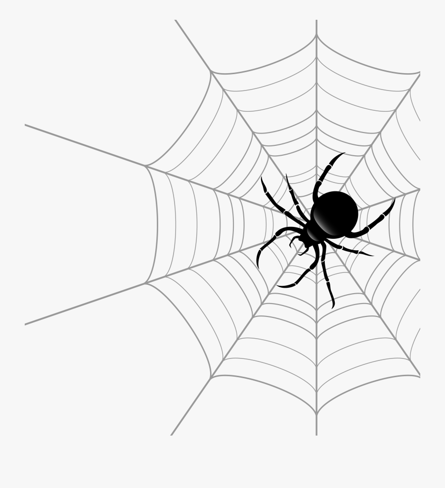 Spider Web Theridiidae Euclidean Vector - Transparent Spider Web Vector, Transparent Clipart