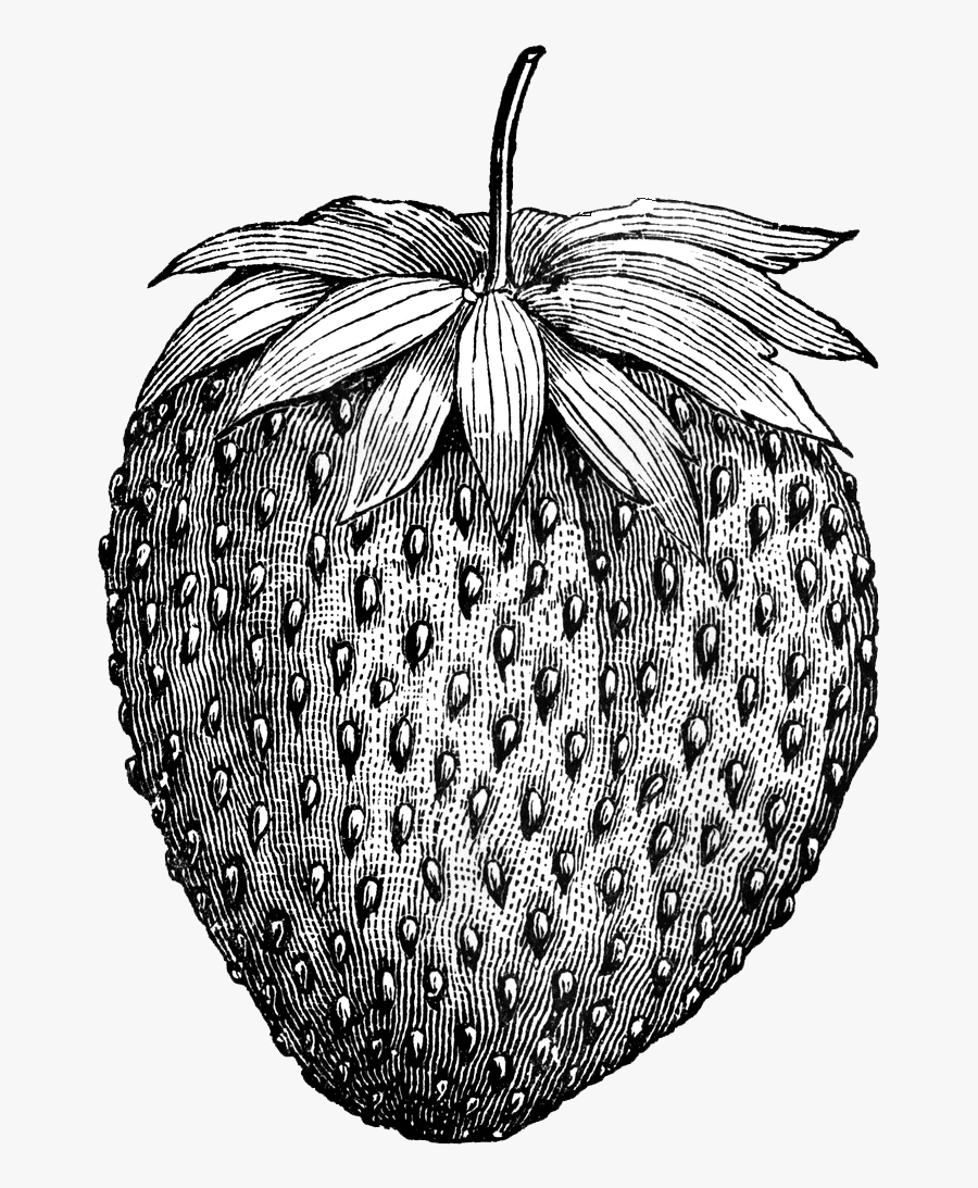 Black And White Strawberry Tattoo, Transparent Clipart