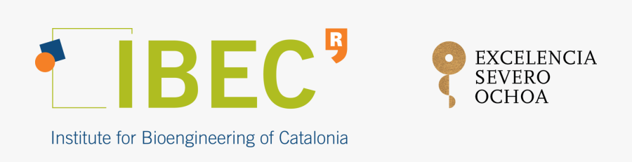 Institute For Bioengineering Of Catalonia, Transparent Clipart