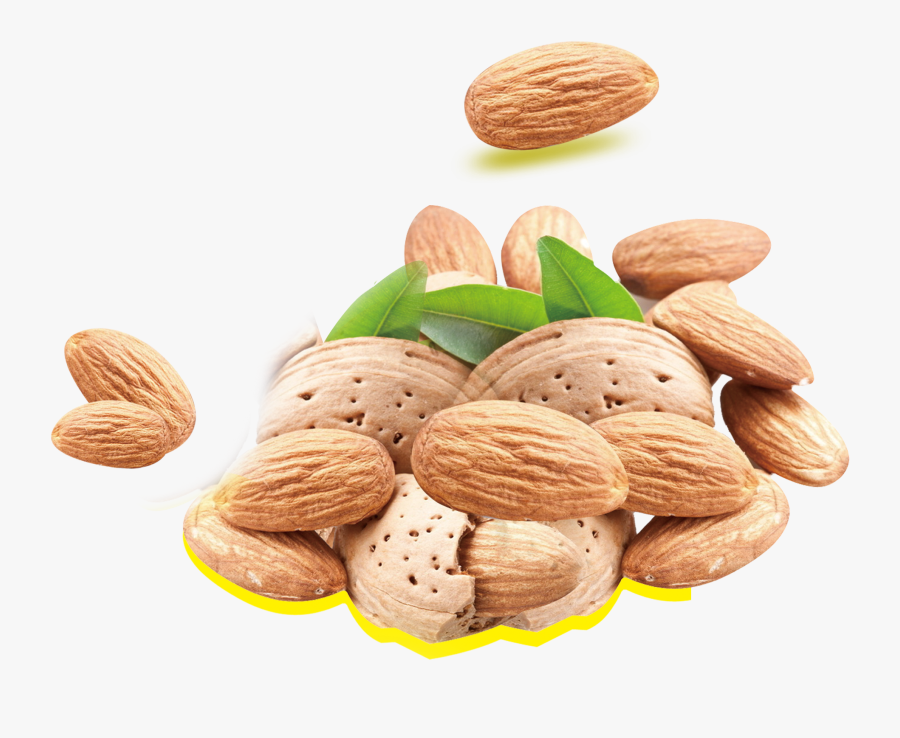Almond Milk Nutrient Nutrition Fat Nuts - Hanh Nhan, Transparent Clipart