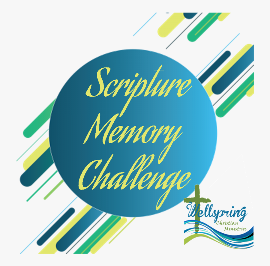 Graphic Design, Transparent Clipart