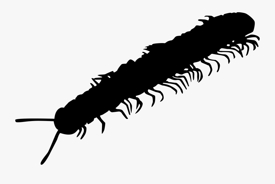 Millipede Clipart Transparent - Centipede Black Png, Transparent Clipart