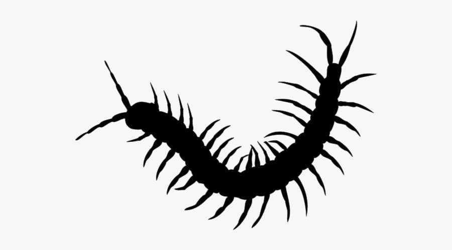 Centipede Png Transparent Images - Centipede Png, Transparent Clipart
