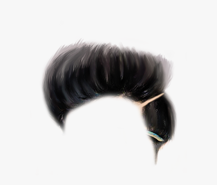 Transparent Black Hair Png - Millipedes, Transparent Clipart