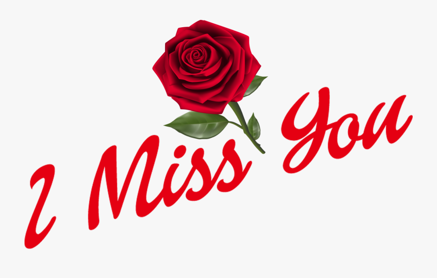 I Miss You Png Hd Images - Floribunda, Transparent Clipart