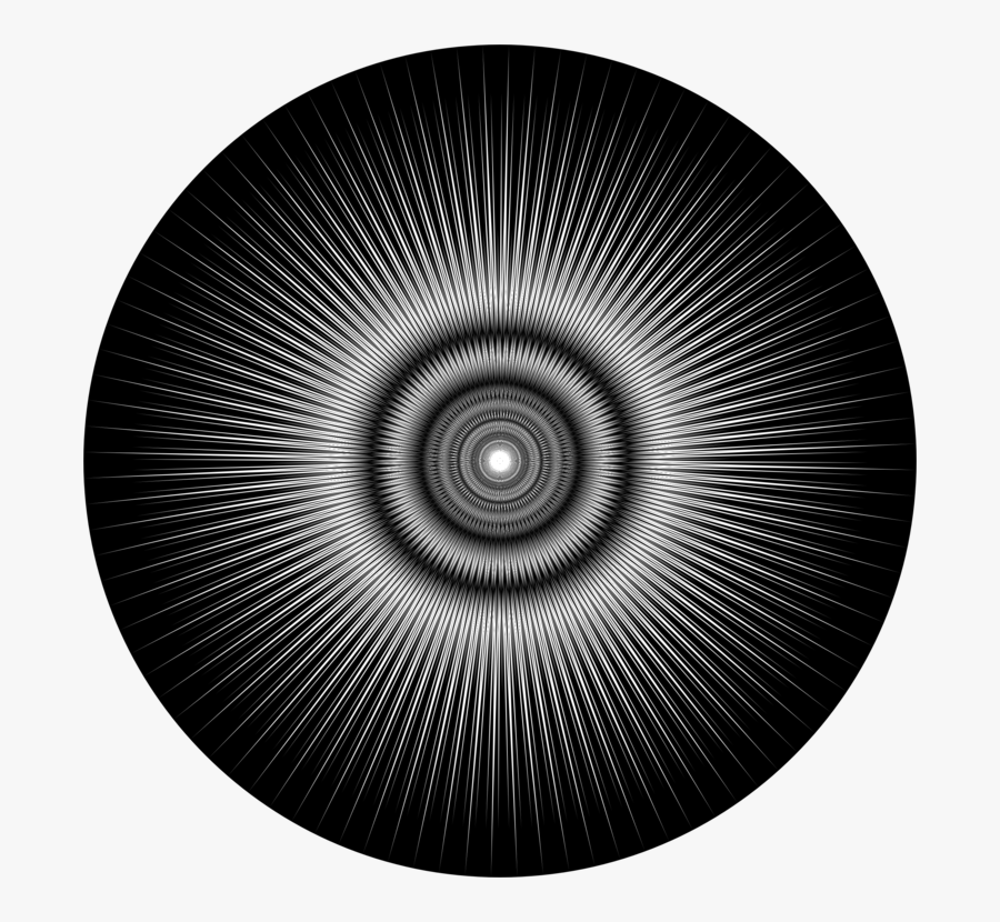 Photography - Zentralfriedhof, Transparent Clipart