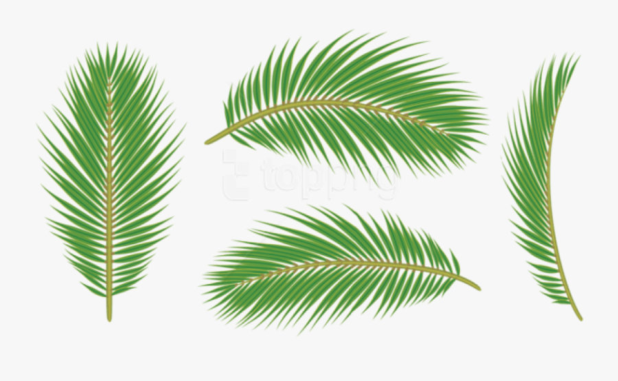 Leaves Free Images, Transparent Clipart
