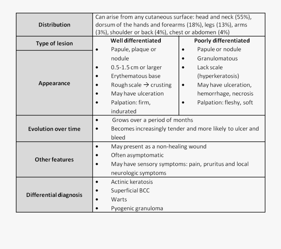 Squamous Cell Carcinoma Skin Differential Diagnosis, Transparent Clipart
