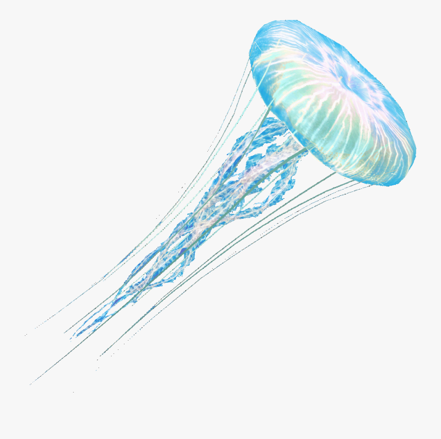 Jellyfish Png Blue Bottle - Jellyfish Png, Transparent Clipart