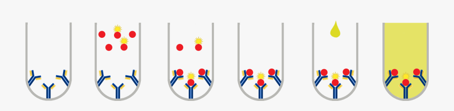 Elisa Png 9 » Png Image - Competitive Elisa, Transparent Clipart