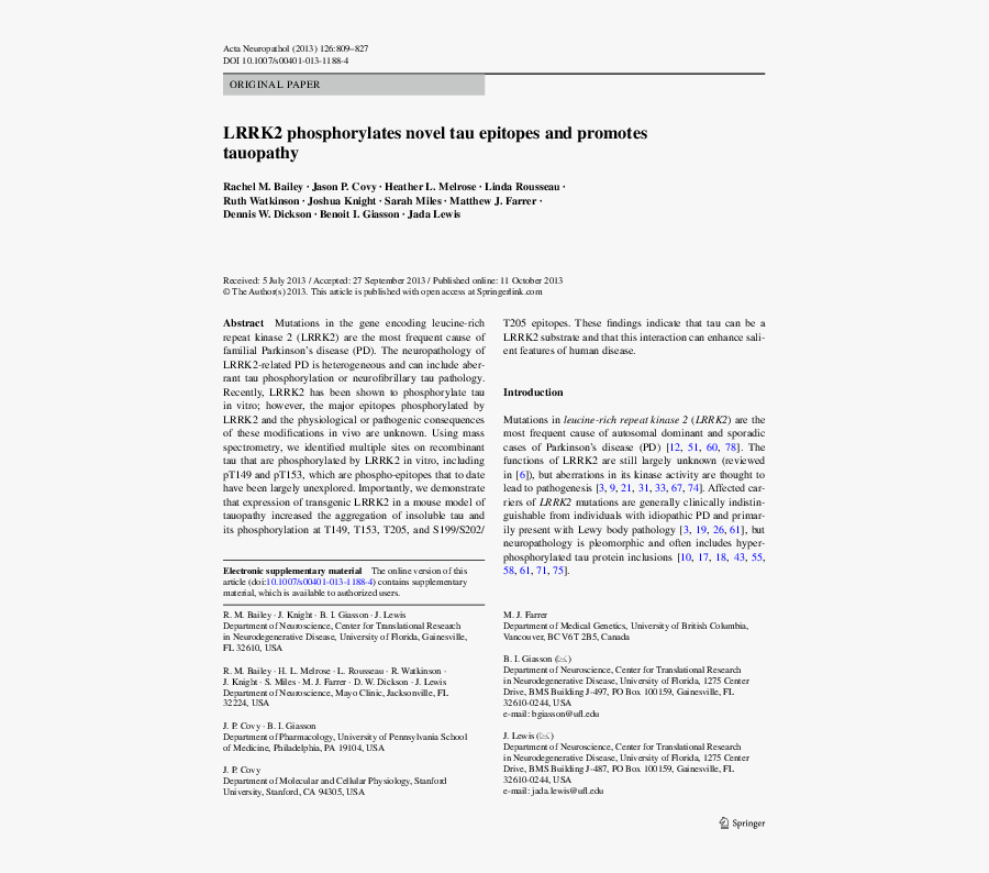 Document, Transparent Clipart