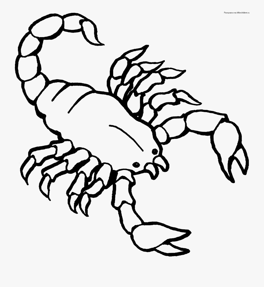 13 Coloring Pictures Scorpion Print Color Craft - Scorpion Coloring Page, Transparent Clipart