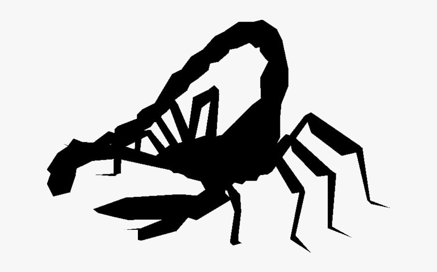 Scorpion Png Transparent Images - Tarantula, Transparent Clipart
