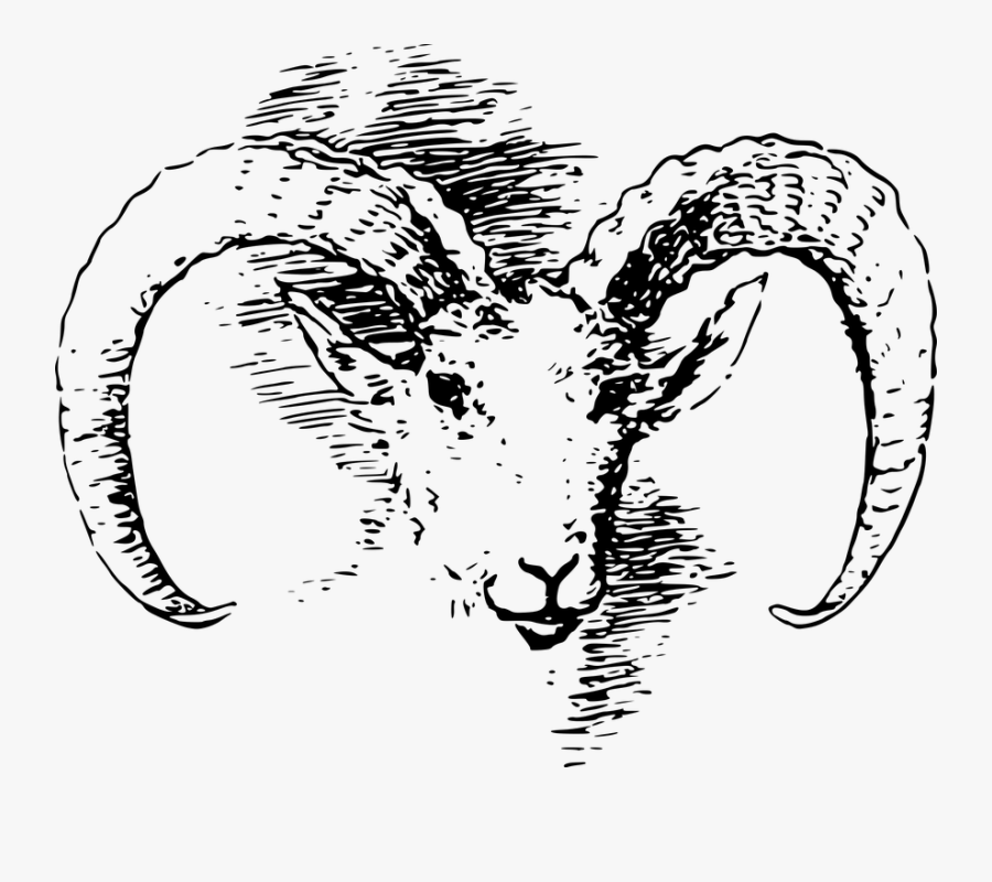 Transparent Sheep Head Png - Ram Vintage Print, Transparent Clipart