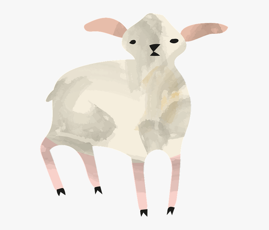 Sheep, Transparent Clipart