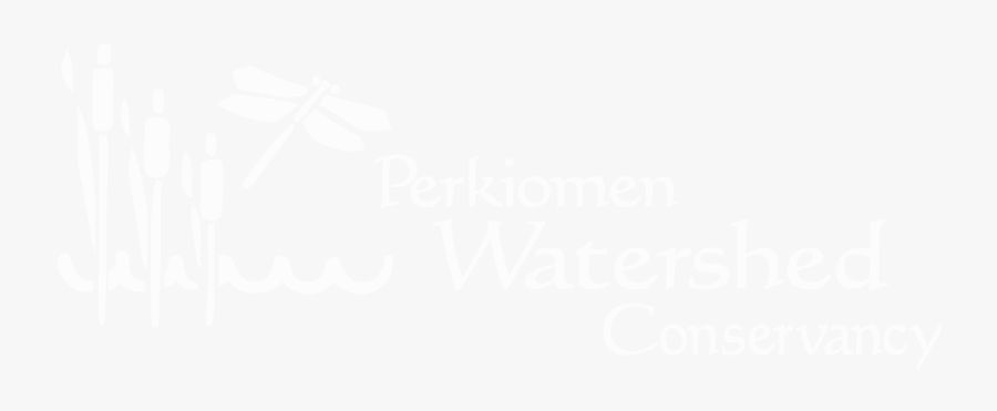 Transparent Clean Up Crew Clipart - Calligraphy, Transparent Clipart