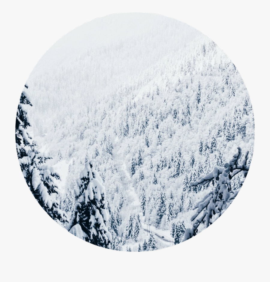 #winter #christmas #snow #forest #aesthetic #background - Aesthetic Snow Background, Transparent Clipart