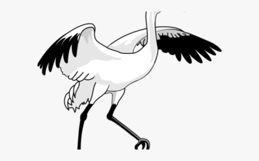 Goose Clipart Gander - Bird Clip Art Crane, Transparent Clipart