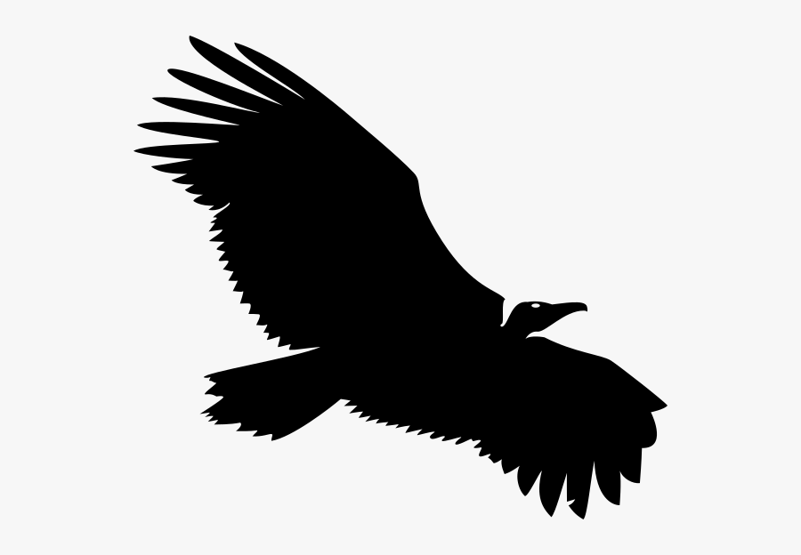 Vulture Vector, Transparent Clipart