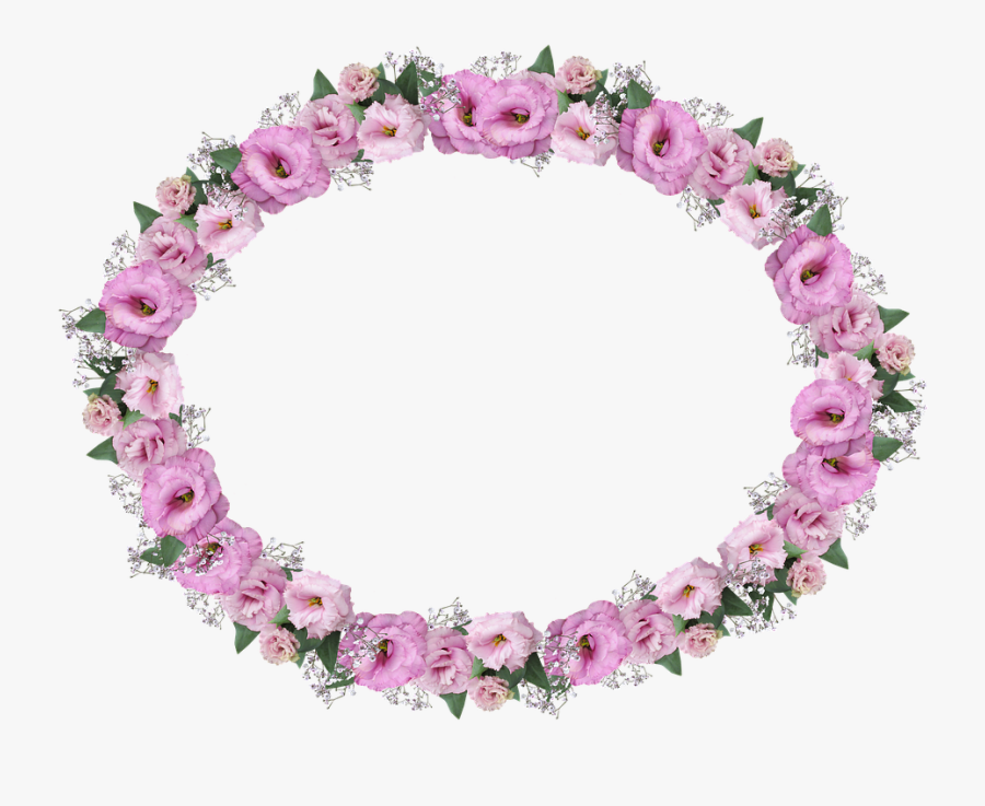 Transparent Chalkboard Frame Clipart - Border Flowers Carnation , Free ...