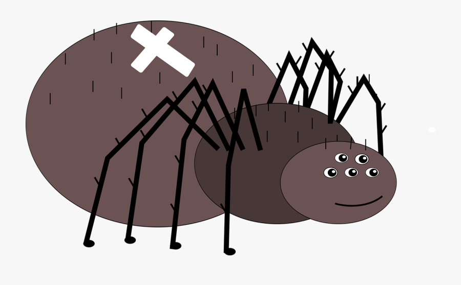 Crusader Spider Animal Free Photo - Pajaki Krzyżaki Na Dworze, Transparent Clipart