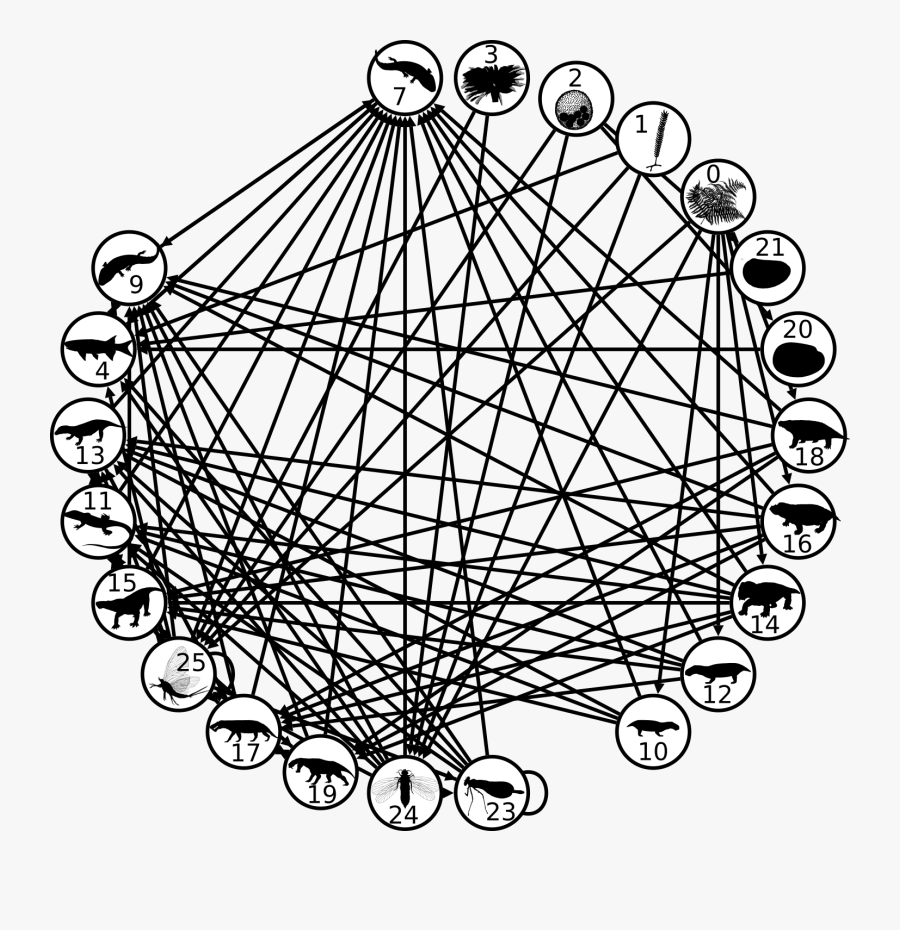 Roopnarine"s Food Weblog - Ferris Wheel, Transparent Clipart