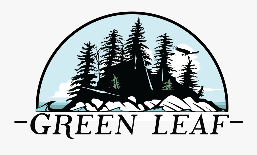 Colorado Spruce Clipart , Png Download - Colorado Spruce, Transparent Clipart
