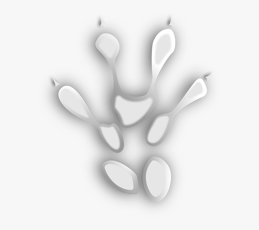 Paw, Footprint, Animal, Foot, Trace, Transparent Clipart