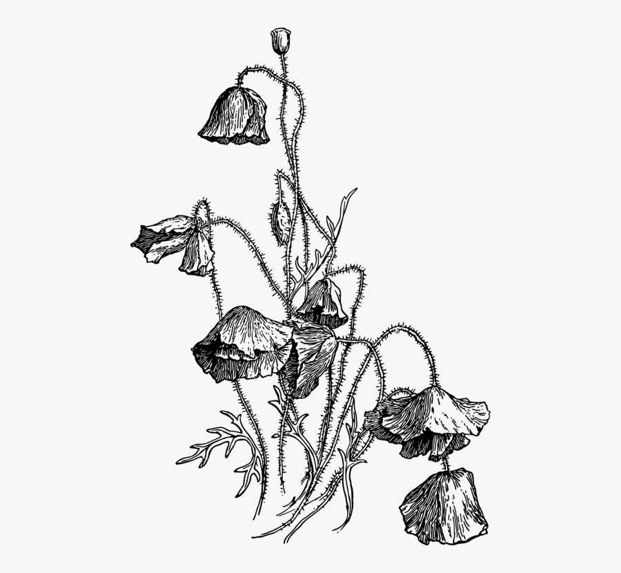 Art,monochrome Photography,artwork - Illustration, Transparent Clipart