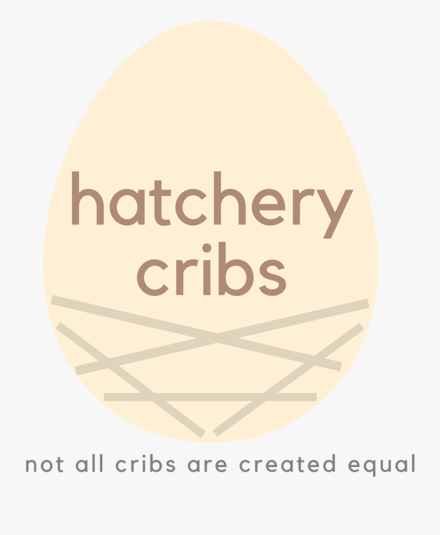 Circle, Transparent Clipart