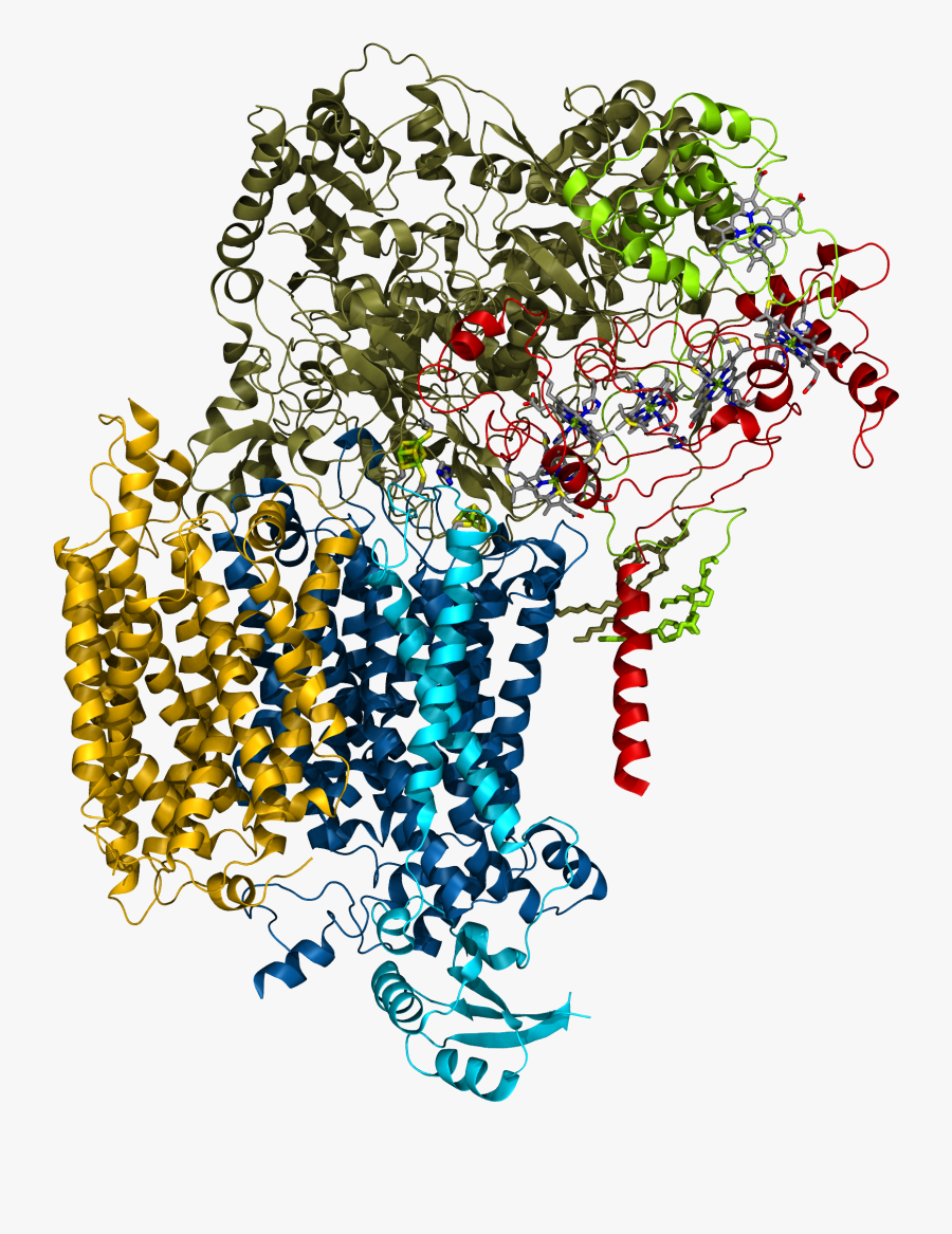 Sun, S Clipart , Png Download, Transparent Clipart