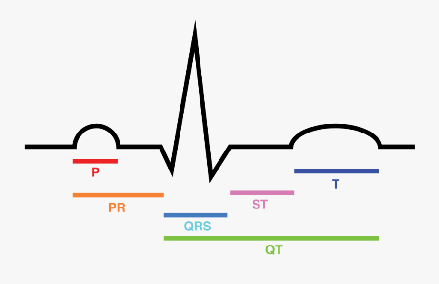 File Ecg Intervals Svg Conduction System Of The Ekg Free Transparent Clipart Clipartkey
